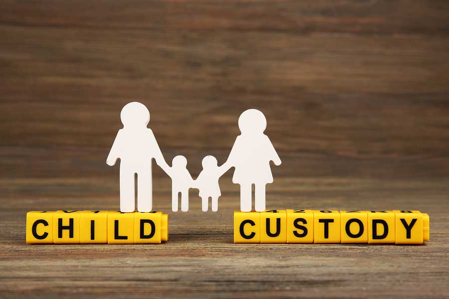Child Custody 730 Evaluation